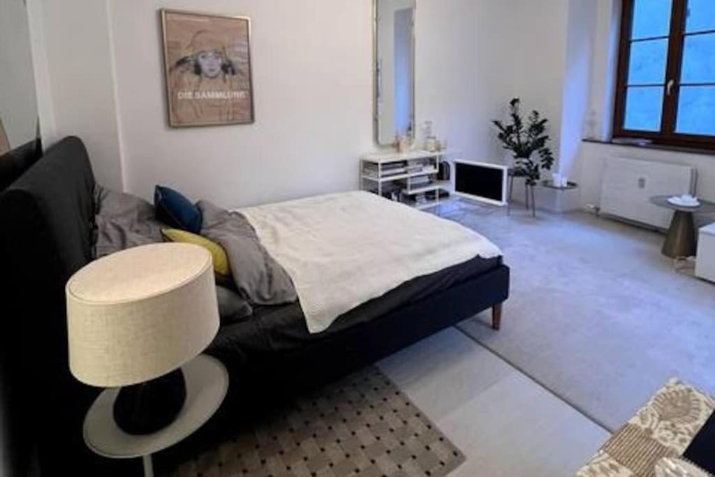 Exclusive Apartement In Historic Center Linz Dış mekan fotoğraf